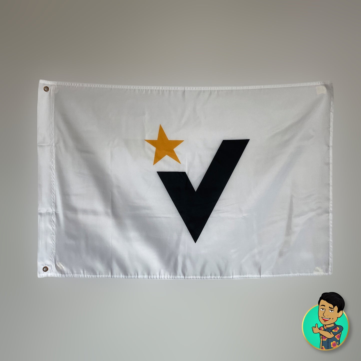 Bandera de MVC